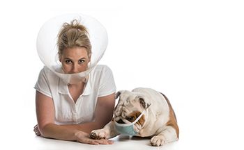 veterinary-dog-e-collar-AdobeStock_75390623-450.jpg