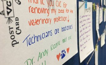 veterinary-vet-confessions-close-up-460.jpg