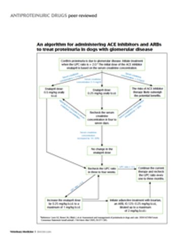Antiproteinuric_Drugs_Algorithm-819274-1404220635181.jpg