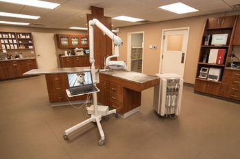 2017_4_PetWellnessCenter_DentalRoom_450.jpg