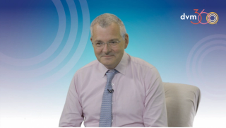 Quick tips on understanding and treating pancreatitis