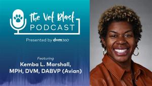 Advancing DEI in veterinary medicine