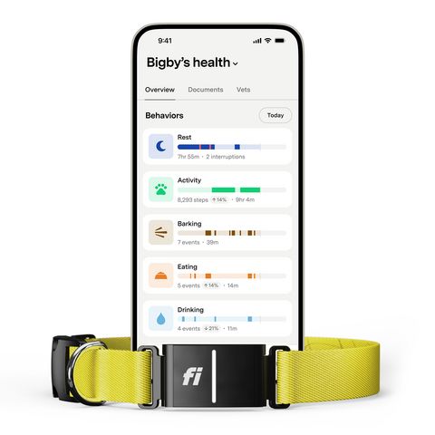 Fi Series 3+. (Image courtesy of Fi)