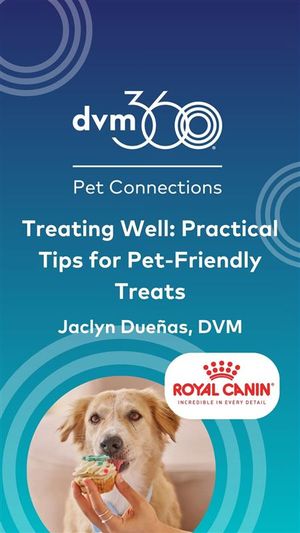 Treating well: Practical tips for pet-friendly treats