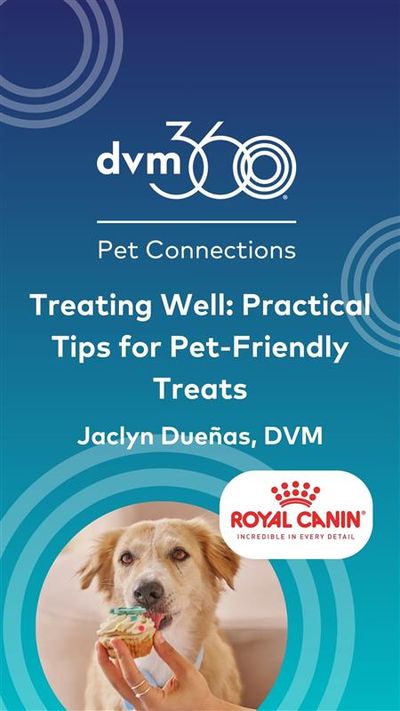 Treating well: Practical tips for pet-friendly treats