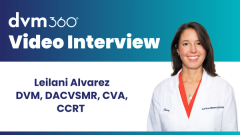 Simple visual clues to differentiate forelimb lameness issues in dogs