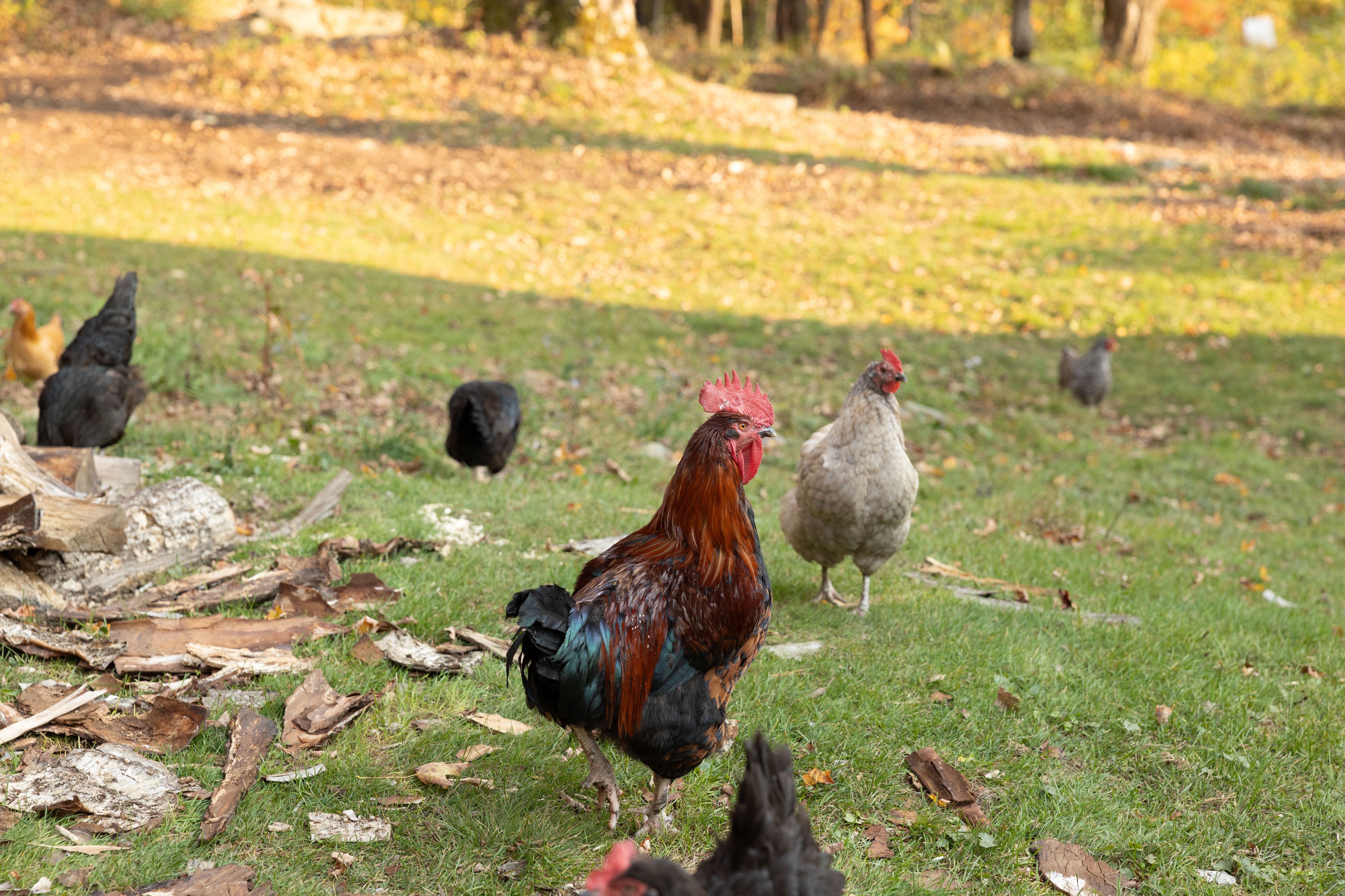 Photo: Cavan/Adobe Stock
