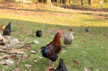 Photo: Cavan/Adobe Stock