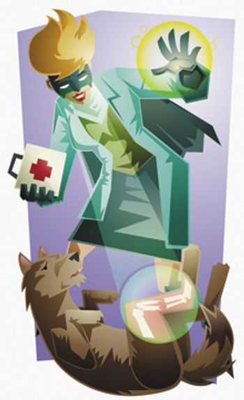 veterinary_Close up of a female doctor examining the broken leg of a dog_220px_57354789.jpg