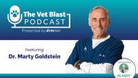 Interview with Dr Marty Goldstein