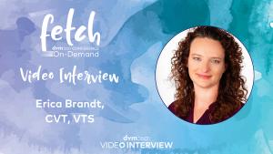 Providing emergency care for kittens