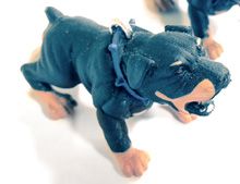 Treating Fear Based And Conflict Related Aggression Fear Based And Conflict Related Aggression