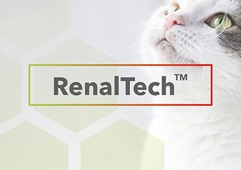 renaltech-press-image-body.jpg