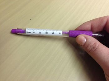 scale_450.jpg