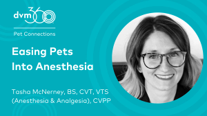 Jackie Dueñas, DVM - Pet Connections - dvm360