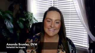 PetVet365 becomes first Fear Free Certified hospital network