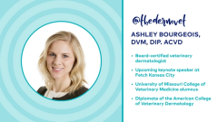dvm360 Live! with Dr. Adam Christman