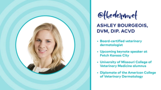 dvm360 Live! with Dr. Adam Christman