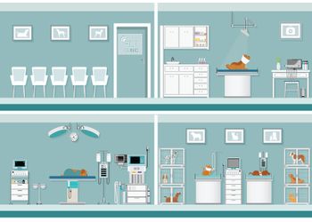veterinary_animal_hospital_450.jpg