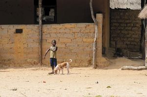 veterinary-orango-island-guinea-bissau-may-3-2017-450px-shutterstock-668039995.jpg