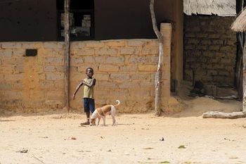 veterinary-orango-island-guinea-bissau-may-3-2017-450px-shutterstock-668039995.jpg
