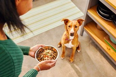 Wellness Pet Company launches Wellness Bowl Boosters Freshly