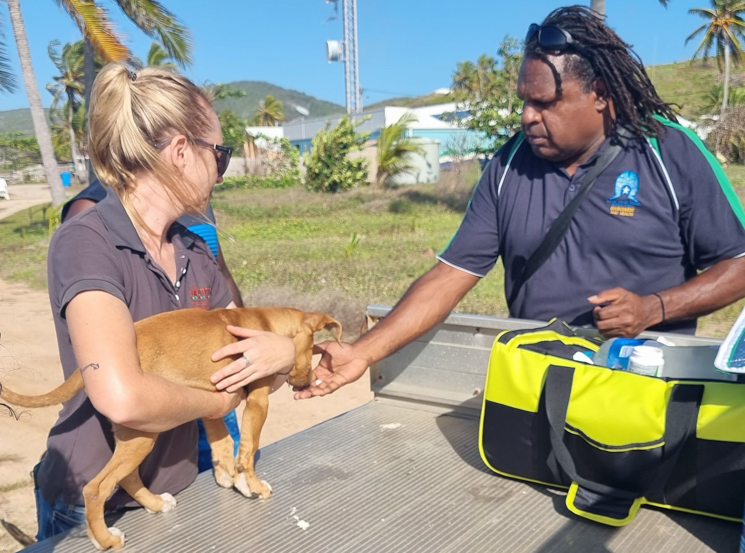 Veterinary scene down under: Australian veterinary school receives massive philan-thropic donation, and other news