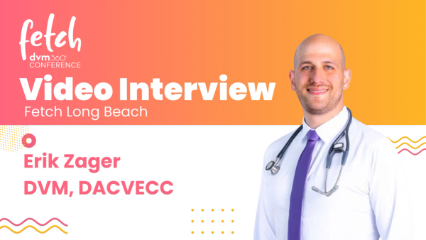 How to beat cognitive biases and make better decisions