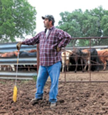 veterinary-cattle-rancher-155596688-841166-1404210020197.jpg