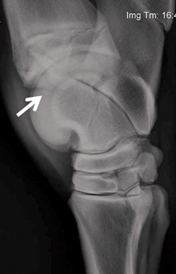 Figure1-781647-1384159603464.jpg