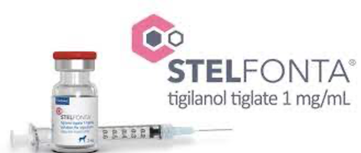 Stelfonta Injection Newly approved oncology drugs fill a niche for 2 common canine cancers