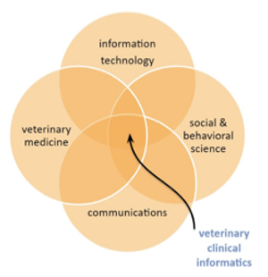 Components of veterinary informatics