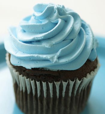veterinary_xylitol_460-671013-1384318476822.jpg