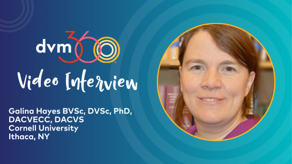 Optimizing blood flow to improve GI surgery healing