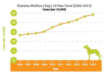 Veterinary_Banfield_StateofPetHealth_Dogs-Diabetes_450.jpg