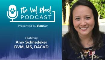 Podcast CE: Topical therapy for dermatologic cases