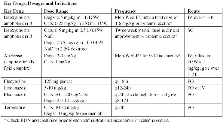 Frustrating fungal diseases (Proceedings)