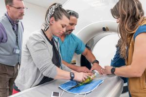 Small Animal CT Scan