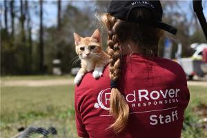 RedRover Responders