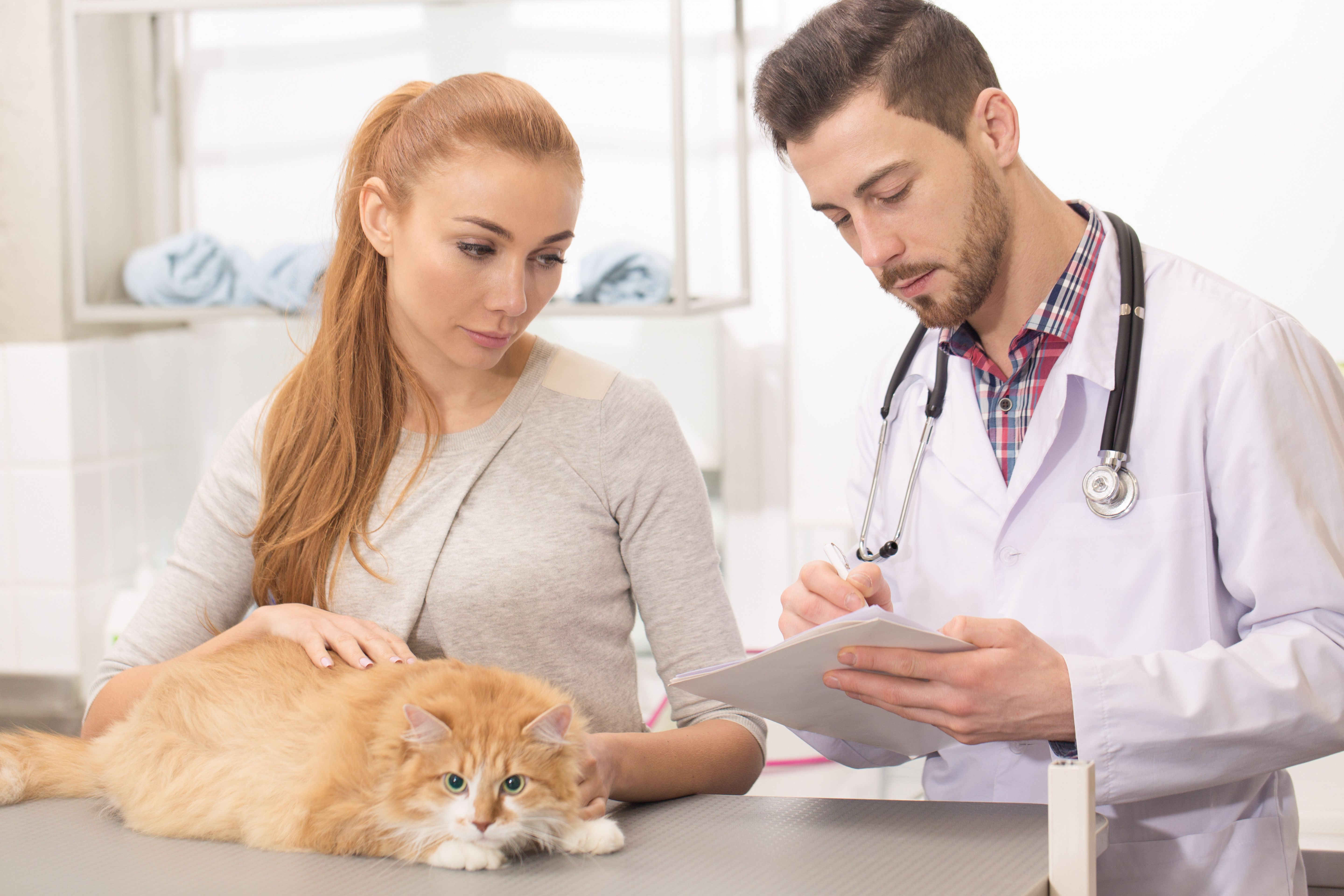Industry leaders launch Positive Pet Care Guide Industry leaders launch Positive Pet Care Guide