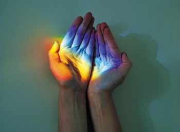 veterinary-Catch-a-rainbow-body.jpg