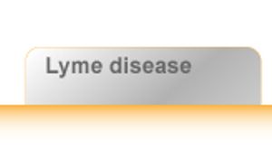 InfectionTabs_06-661214-1384323420133.jpg