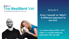 From ‘I should’ to ‘Why?': A different approach to burnout