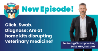 Click. Swab. Diagnose: Are at-home kits disrupting veterinary medicine?