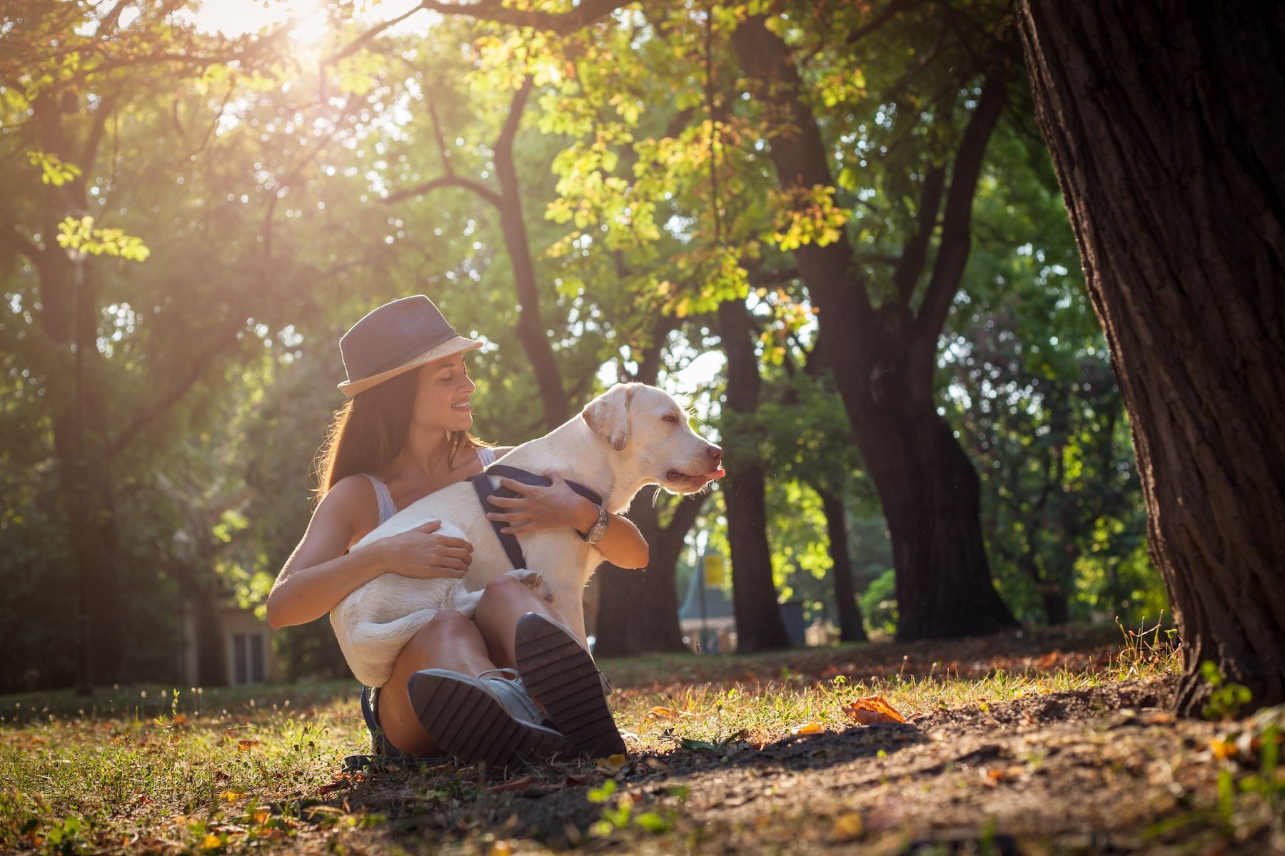 Girl and dog in the park