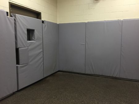 LR-veterinary-induction-stall-off-transfer-area-in-surgery.jpg