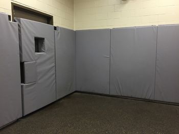 LR-veterinary-induction-stall-off-transfer-area-in-surgery.jpg
