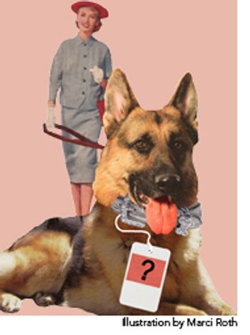 veterinary_tumblin_value_wd-659831-1384329499927.jpg