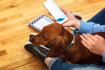 reading phone with dog