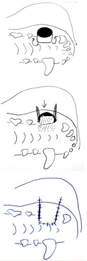 i1-722815-1384194965387.jpg